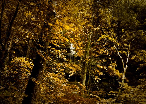 park winter fall water waterfall woods state forrest foliage arkansas devilsden westfork