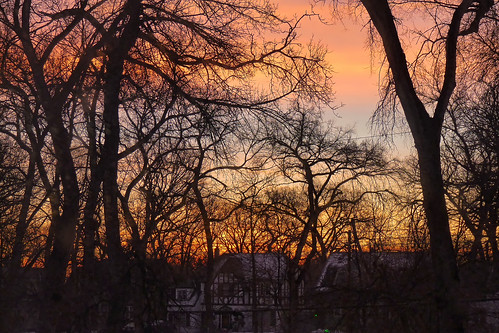 trees winter sky canada silhouette sunrise lumix winnipeg manitoba explore elmpark cans2s fz35