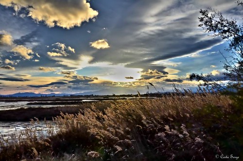 sunset sky cloud france pond nikon ciel nuage paysage hdr coucherdesoleil étang roseau catalogne salses flickraward d7000 ringexcellence