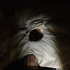 お母さんによじ登って寝るよ^^（妻疲弊） (2011/12/28)