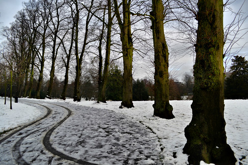 trees winter snow seasons highgate waterlowpark winterinlondon ringexcellence dblringexcellence tplringexcellence