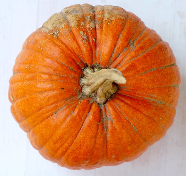 Sugar pie pumpkin by Eve Fox, Garden of Eating blog, copyright 2011