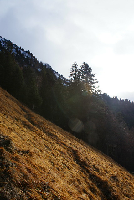 Dre dans le pentu,Massif des bauges, Haute Savoie, France | Flickr ...