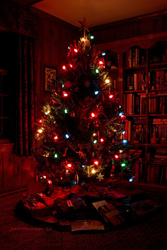 home virginia january christmastree timeexposure christmasdecorations 2012 canon1740l chesterfieldcounty january2012 surreywood