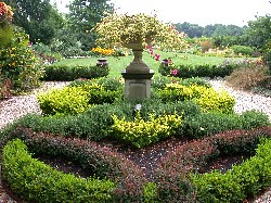 The entrance garden consisting of a knot (in need of a trim) planted with Berberis thunbergii ‘Crimson Pygmy’, Berberist. ‘Aurea Nana’, Teucrium chamaedrys and Buxus microphylla ‘Wintergreen’. The central urn is planted with the ever-colorful Bougainvillea ‘Raspberry Ice’.