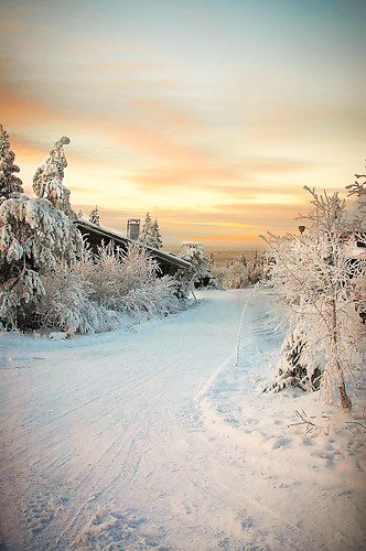 winter finland landscape nikon d90 isosyote blinkagain greaterphotographers