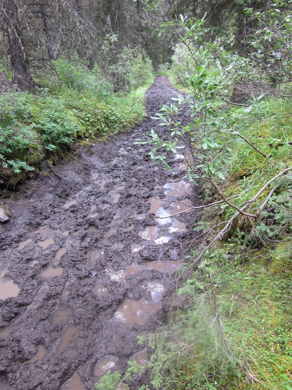 Deep mud and water-filled tracks on the Forty Mile Creek Trail