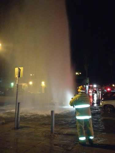 Fire Hydrant Breaks in Venice