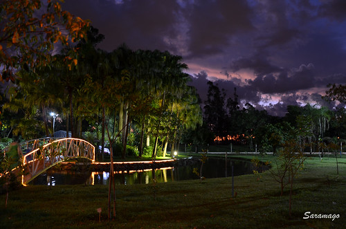 park bridge sunset lake night garden natureza noite saramago uberlandiamg parquedosabia bosqueladylene jbsaramago