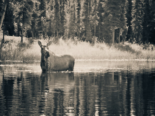 alaska canoe kenai mooseriver september2011