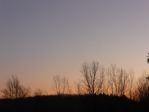 morning trees winter cold west colors sunrise dawn belmont michigan bare january crisp