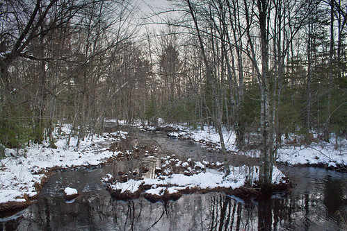 trees holiday snow canada water weather river flora photographer novascotia cottage places can northamerica organic occasions bridgewater conditions geoffhill