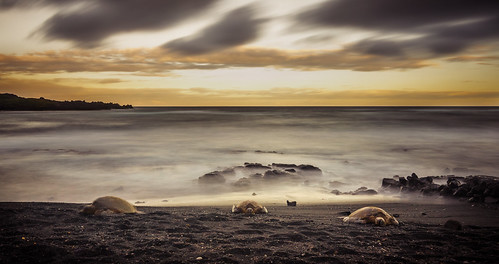 longexposure sunset sea beach clouds landscape hawaii sand turtles tomhall