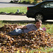 fall_leaves_20111106_21794