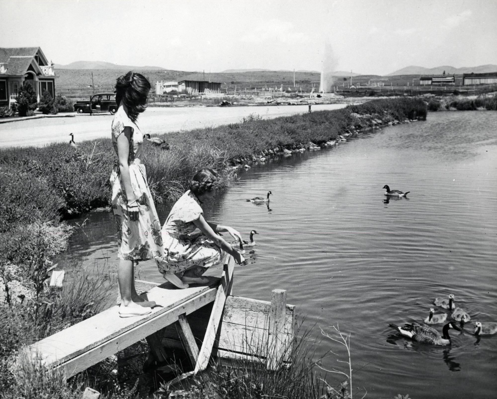 Geyser at a hot springs near Lakeview, circa 1940