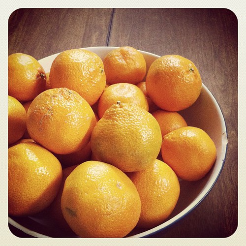loving citrus right now