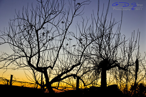 sunset canon guardiasanframondi flickraward