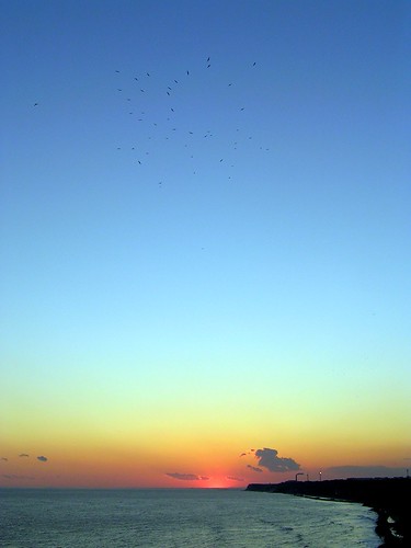 ocean sunset sea sky birds pacificocean flickraward