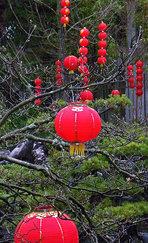 red lanterns in the garden