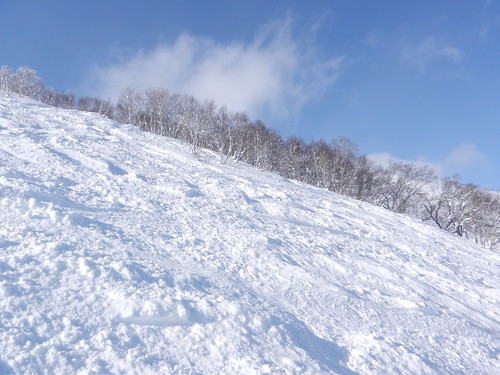 snow ski japan hanazono hokkaido skiing powder hirafu annupuri nisko