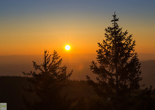 morning trees sky sun colors forest sunrise canon landscape dawn outdoor himmel sigma explore dämmerung landschaft sonne wald bäume sonnenaufgang schwarzwald blackforest schauinsland doubled 1750mm canon600d