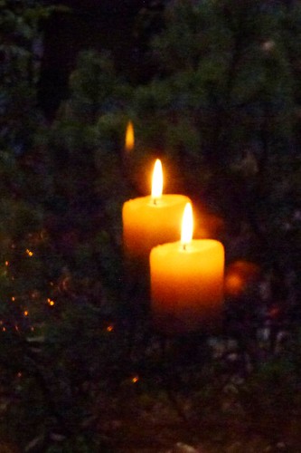 autumn light nature reflections germany deutschland licht advent candle herbst spiegelung darmstadt kerzen minigarden ivlys