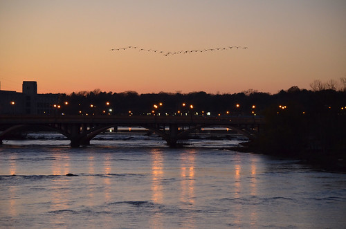 bridge sunset birds silhouette river photography geese photo photos danvillevirginia danvilleva