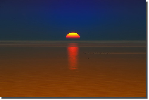 sunset sun water birds fire wasser sonnenuntergang northsea vögel feuer sonne nordsee