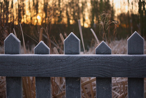 sunrise fence frost cheshire bokeh middlewich trentandmerseycanal hff panasonicdmcgf2 lumixhh020e20mm