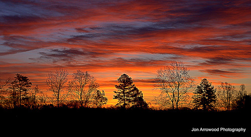 trees winter color silhouette sunrise landscape nc colorful sony 200 alpha jja lincolnphotographyclub dpsdawn