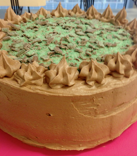 Chocolate Peppermint Crisp Cake