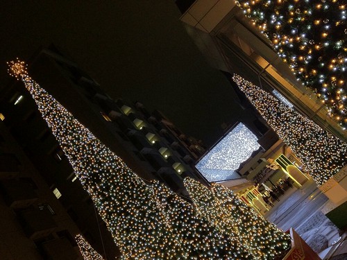 代官山アドレスのクリスマスイルミネーション2011