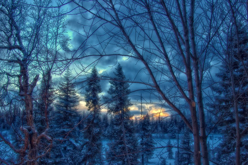 trees sunset snow home alaska clouds hdr anchorpoint