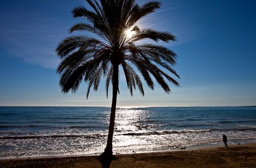 blue sea woman brown sun sunlight white holiday black tree beach sunshine canon lens spain sand europa europe mediterranean shadows eu wideangle palm sparkle marbella steveh canonef1635mmf28liiusm canoneos5dmkii canoneos5dmk2