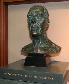 Sir Wilfrid Edward Le Gros Clark