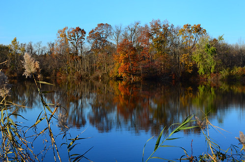 park desktop blue autumn red wallpaper sky orange color colour reflection tree fall water leaves mirror leaf newjersey colorful branch background nj reflect monmouthcounty middletown desktopwallpaper desktopbackground thompsonpark lincroft monmouthcountyparksystem