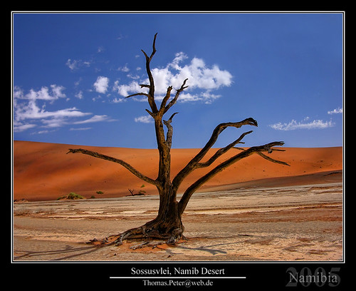 2005 sand dunes namibia sossusvlei gbr namibdesert