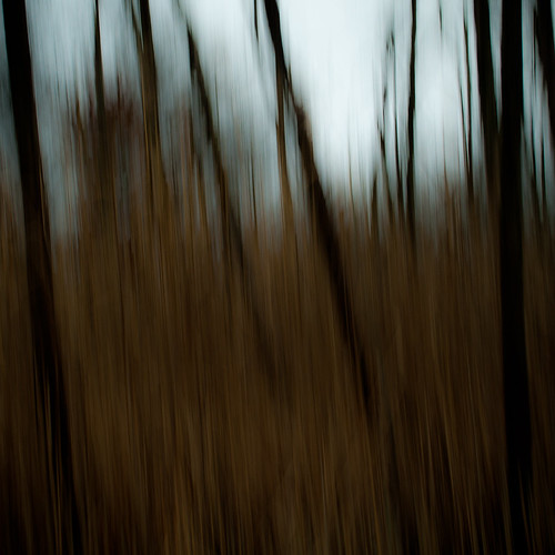 autumn trees abstract motion blur forest square landscape movement woods nikon branches icm d5000 intentionalcameramovement noahbw