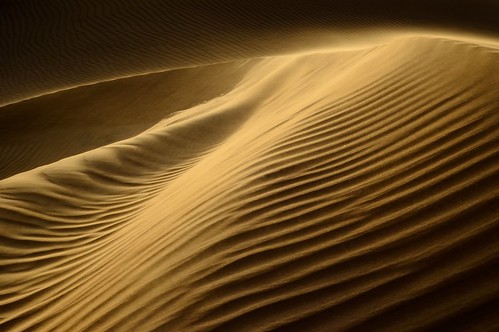 d50 50mm prime sand nikon desert dune uae alain sanddune uaedesert blowingsand arabiandesert sandtexture desertsand fixedfocallength texturedsand prime50 desertsanddune uaesanddune alainsanddune