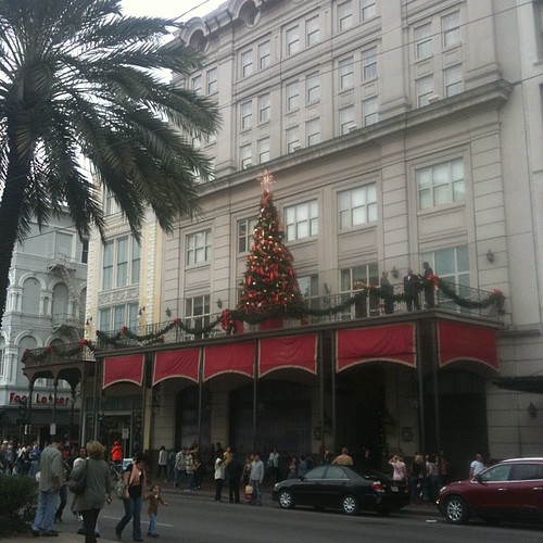 Palm trees and Christmas trees