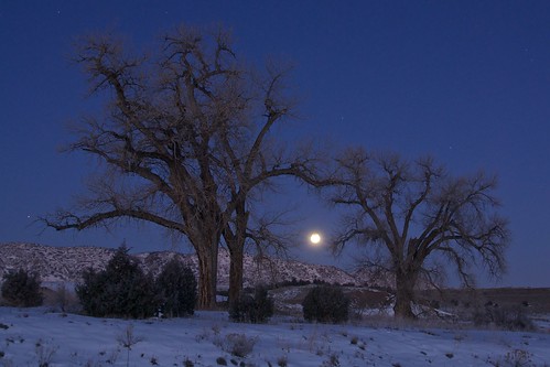 moon snow tree landscape eclipse colorado denver chatfield lunar littleton