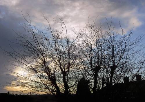 morning blue trees winter light sky clouds sunrise derbyshire freezing clear winterlight southnormanton