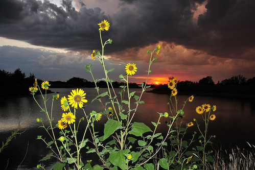 park sunset creek stormy sunflower kansas wichita chisholm chisholmcreekpark