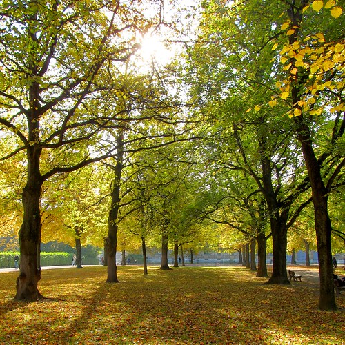 autumn trees sun fall canon munich münchen landscape herbst powershot sonne bäume hdr hofgarten hugin 0284 sx130 img9212c koaxial canonpowershotsx130is brightnessmapping