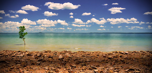sea tree beach clouds photography rocks australia darwin bluesky photograph northernterritory coastalplain dragunars