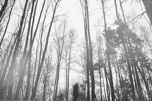 portrait white black forest self canon eos 7d 18200 sigm