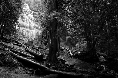 trees bw white motion black blur tree water creek forest river landscape grey mono waterfall stream gray scenic waterfalls cedar rivers getty streams forests cedars creeks gettyimages