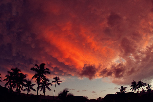 sunset palms lava dominicanrepublic heavenly puntacana fiery bávaro laaltagracia