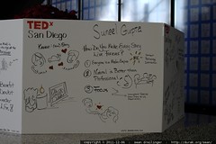 graphic recording by Jeannel King at TEDxSanDiego   … 