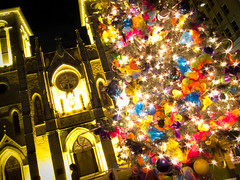 Holiday Lights - San Antonio 2011